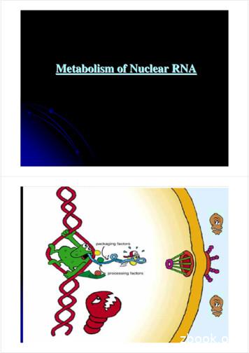 Metabolism Of Nuclear RNA - Nucleus.img.cas.cz