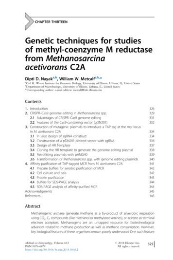 Genetic Techniques For Studies From Methanosarcina Acetivorans C2A
