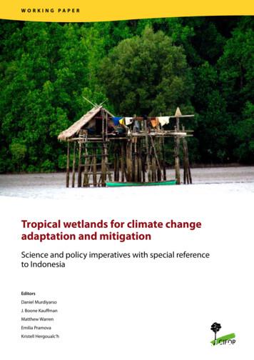 Tropical Wetlands For Climate Change Adaptation And Mitigation