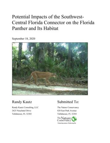 Impacts To Florida Panther