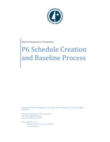 P6 Schedule Creation And Baseline Process - Minnesota Department Of .