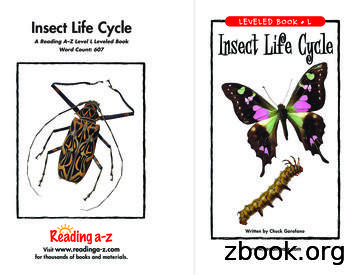 Insect Life Cycle - Springfield Public Schools
